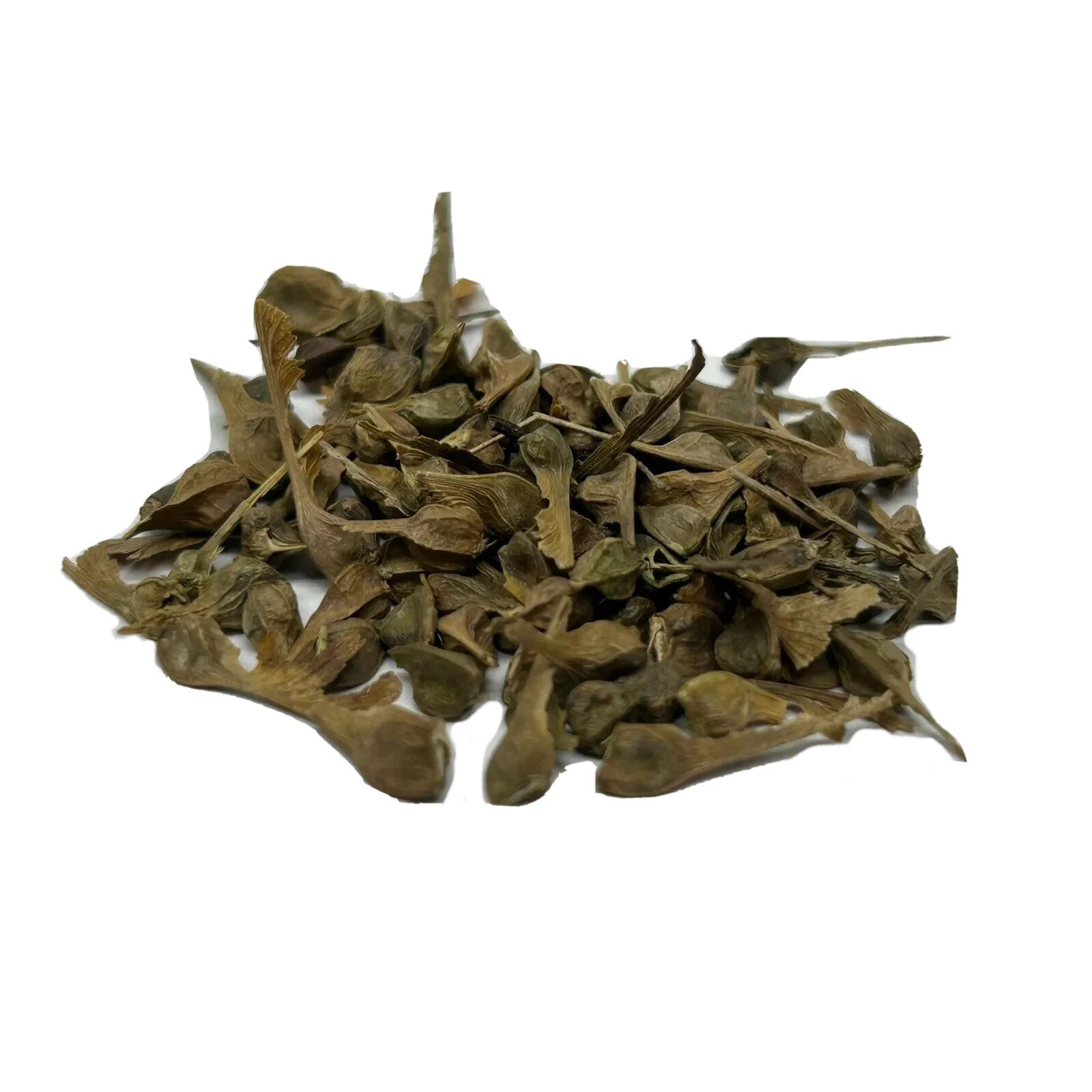 5,000~20,000+ Bulk Trident Maple Seeds Bonsai Tree Seed Pack Acer Buergerianum